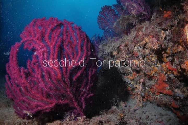 Rome Sea Διαμέρισμα Λίντο ντι Όστια Εξωτερικό φωτογραφία